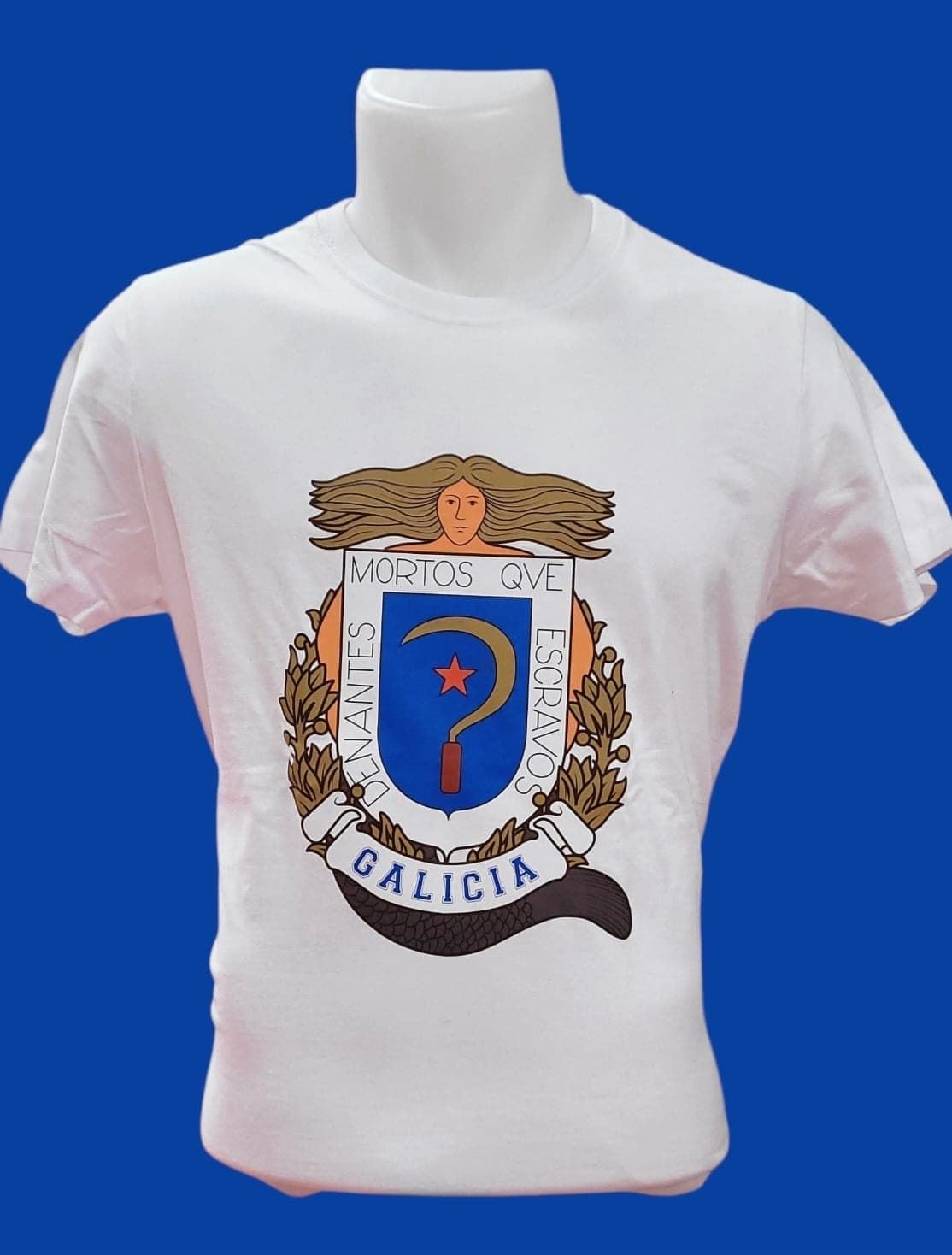 SEREA CASTELAO - Imaxe 1